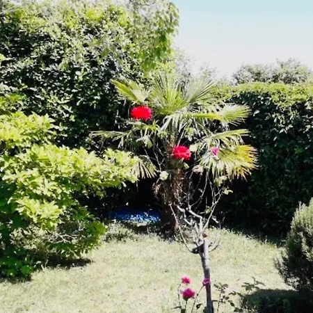 Cap Belle Etoile Apartment La Rochelle (Charente-Maritime)